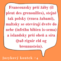 Leje jako z konve